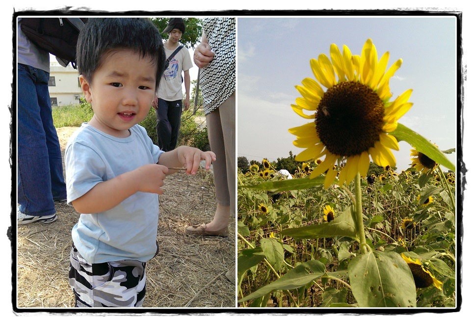 小兔19～22M-42