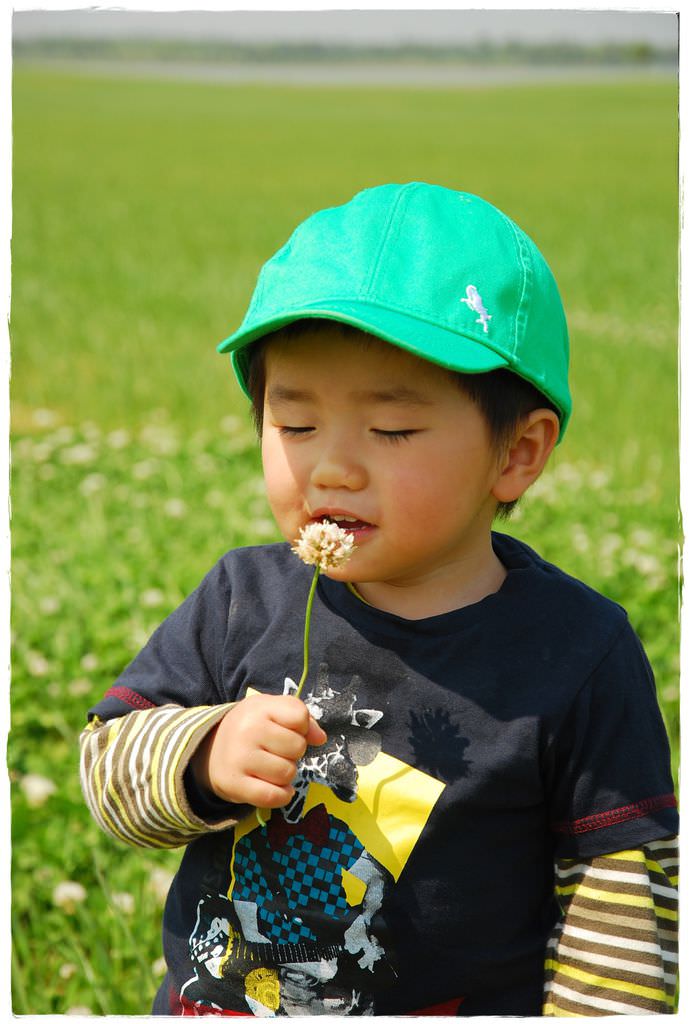 野餐-4