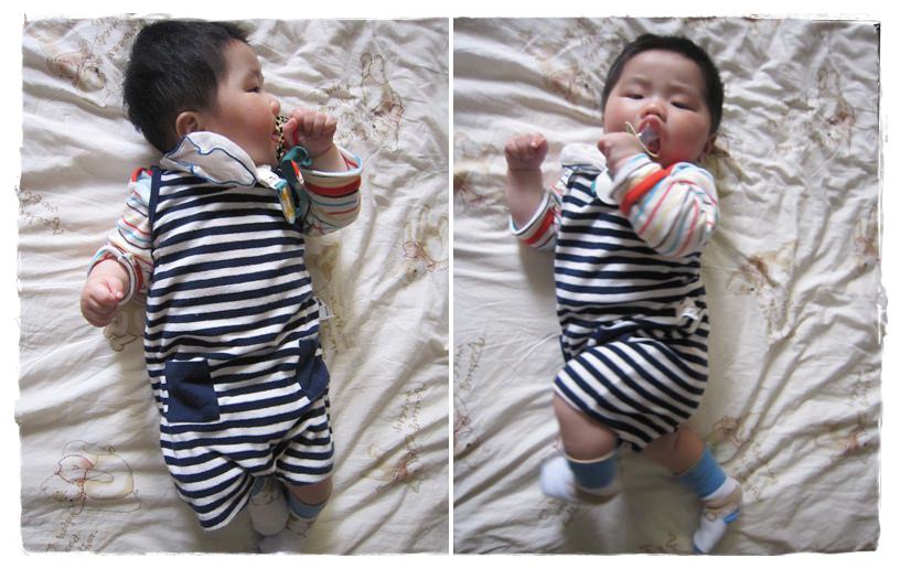 小兔6M-1