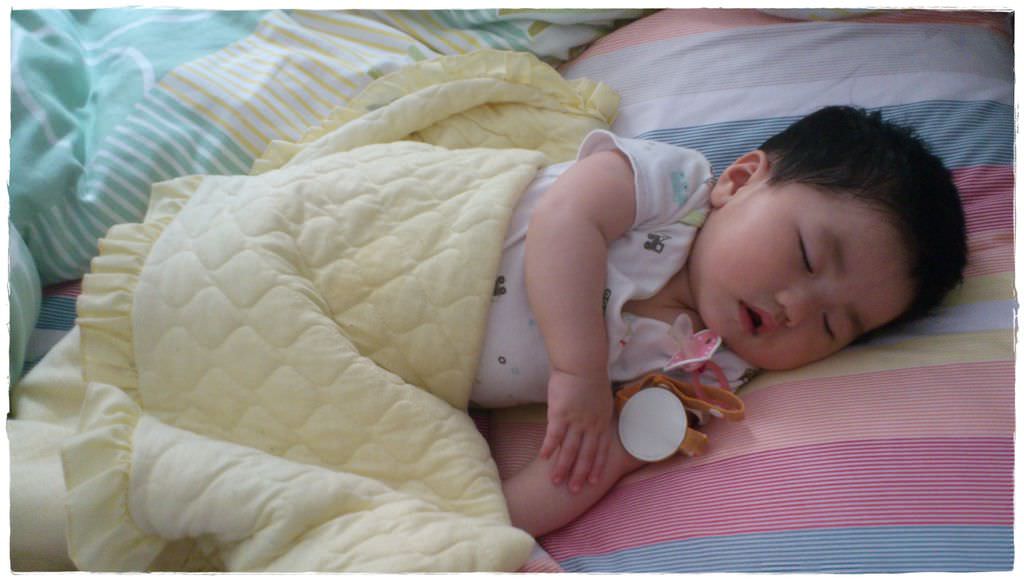 小兔8M-4