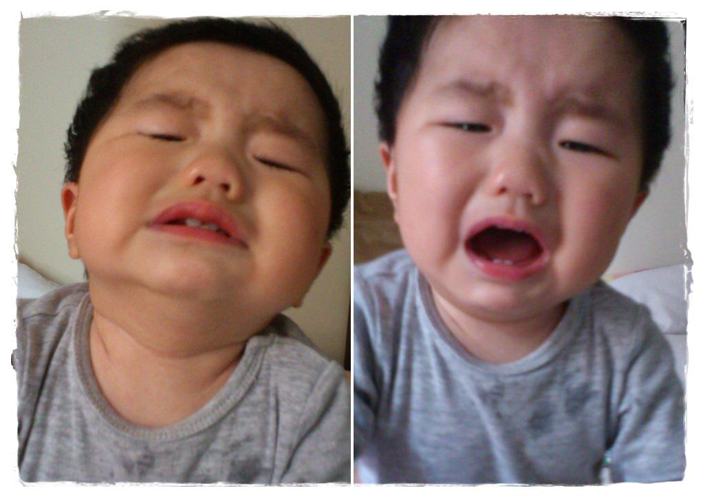 小兔10M