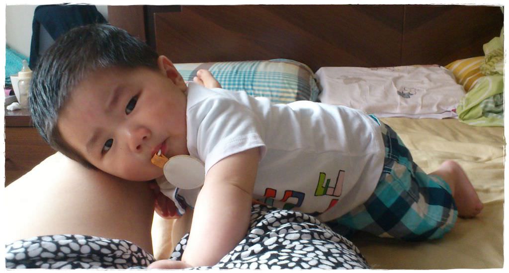 小兔8M-3
