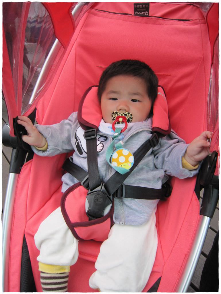 小兔6M-3