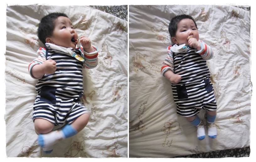 小兔6M-2