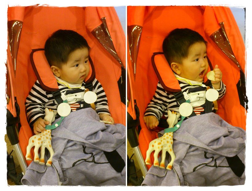 小兔7M