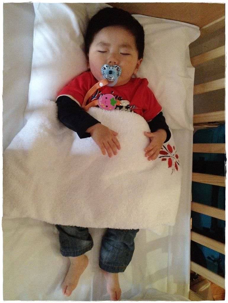 小兔12M