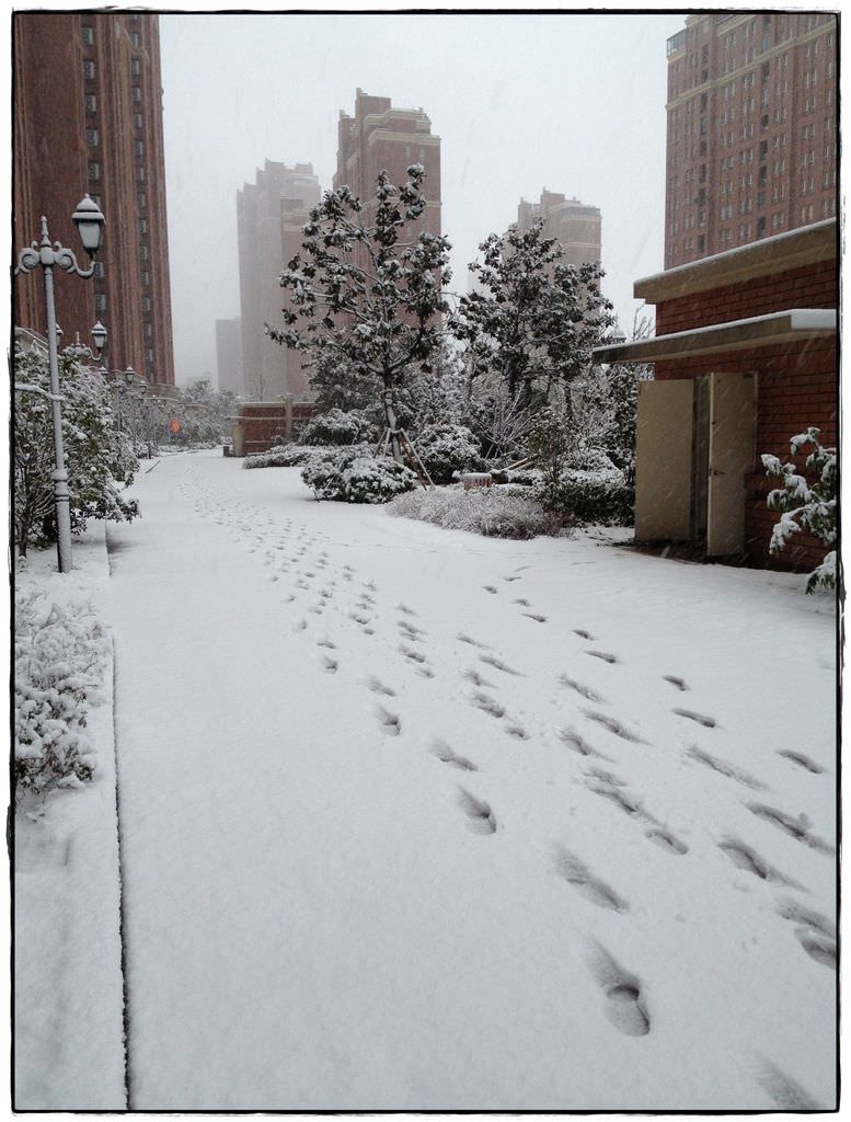 蘇州雪-16