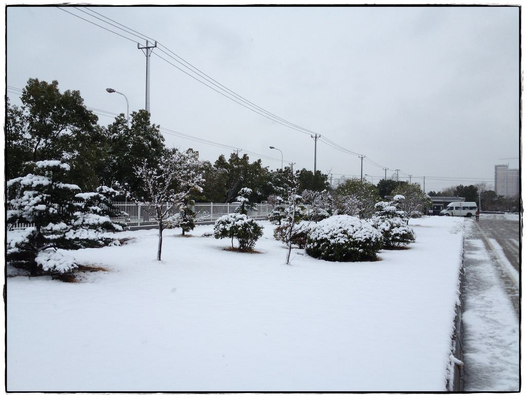 蘇州雪-27