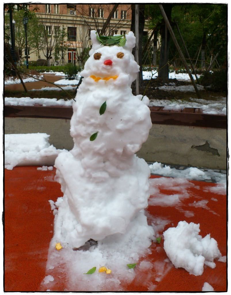 蘇州雪-6