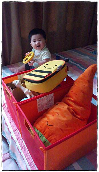 小兔8M-12