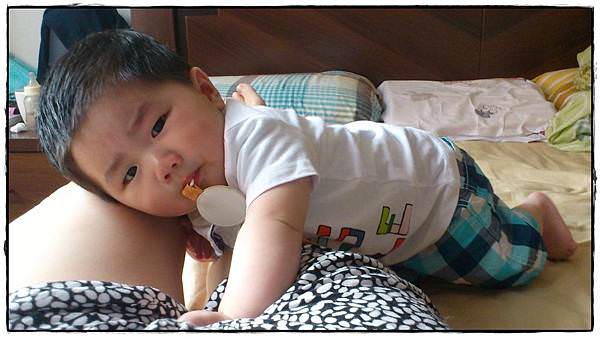 小兔8M-2