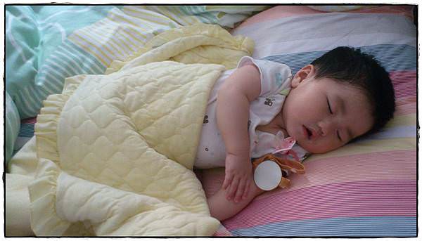 小兔8M-3