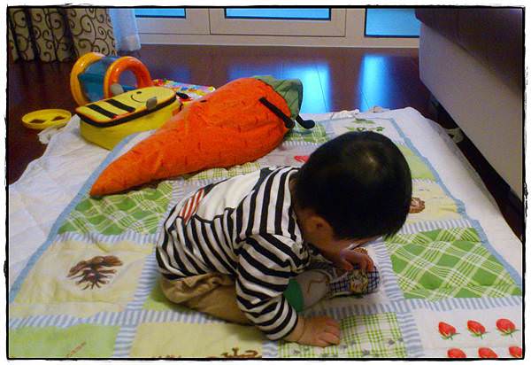 小兔8M-15
