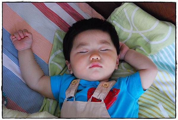 小兔9M-11