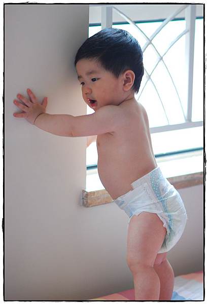 小兔9M-2