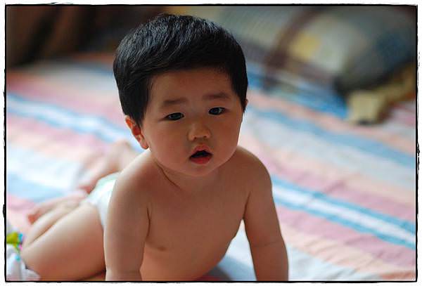 小兔9M-4