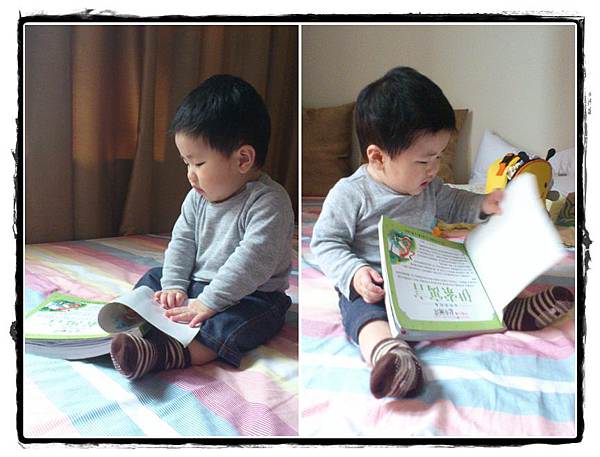 小兔8M-16