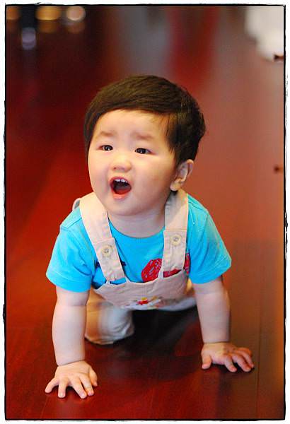小兔9M-15