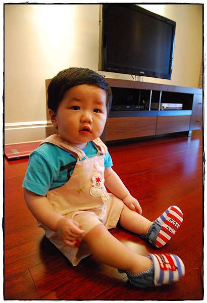 小兔9M-14