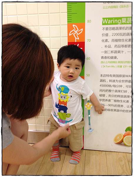 小兔9M-17