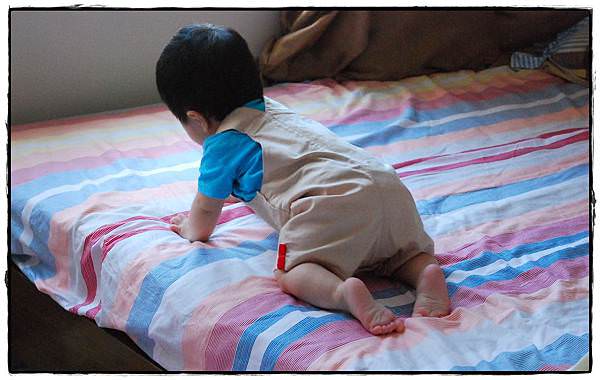 小兔9M-8