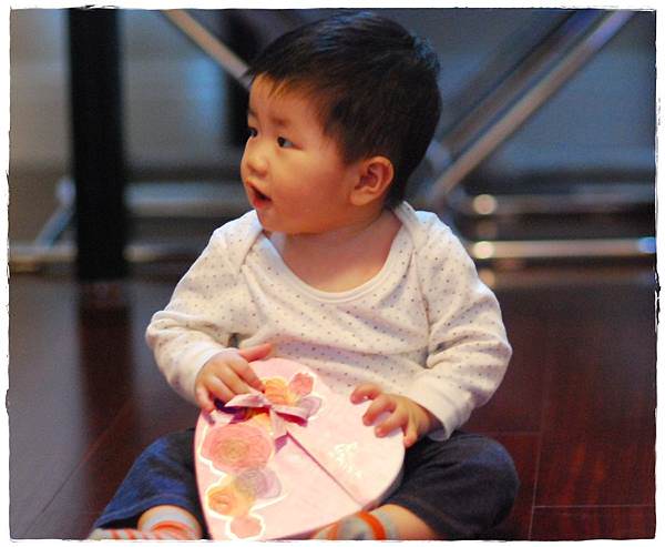 小兔10M-11