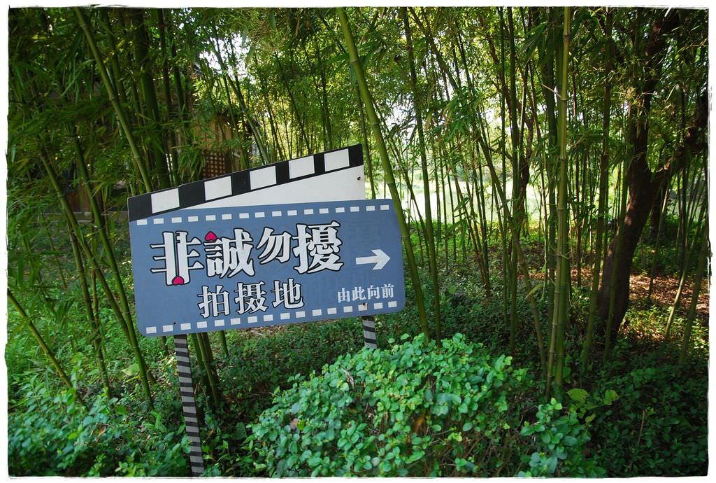 西溪濕地-34