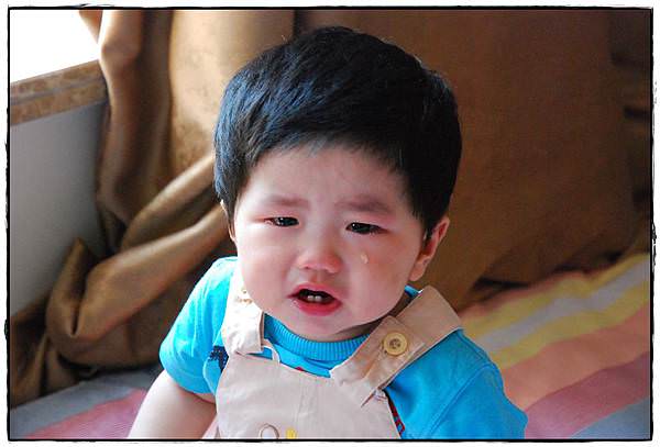 愛哭哭小兔-8