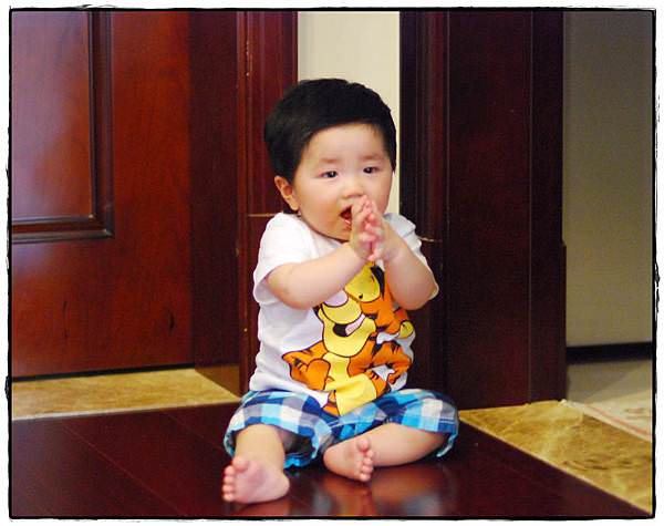 兔兔9m-2