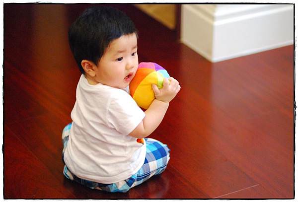 兔兔9m-6