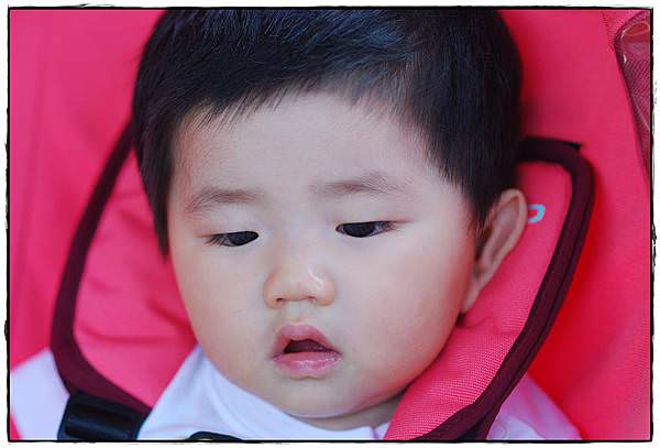 兔兔9m-20