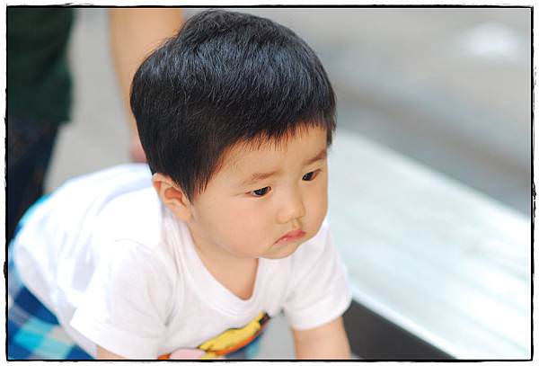 兔兔9m-28