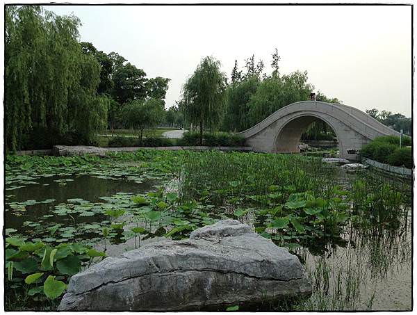 蓮池湖-10