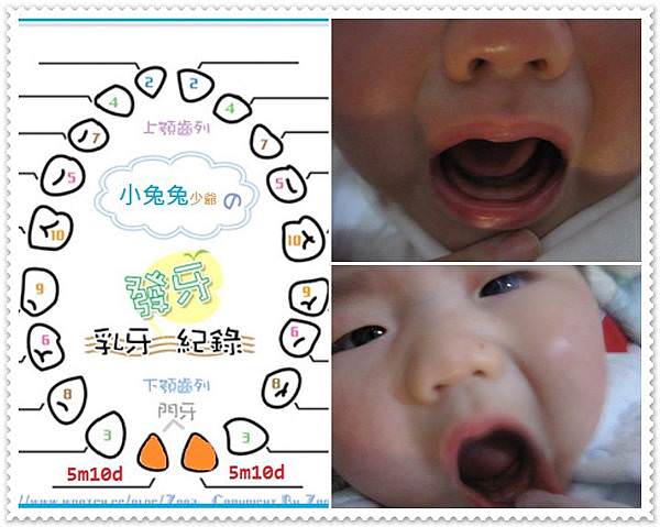 成長記錄4m~7m-16