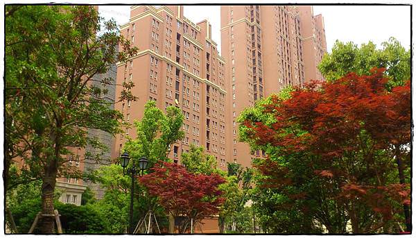 小兔搭機去上海-15