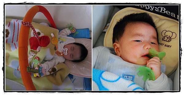 小兔兔少爺3M-5