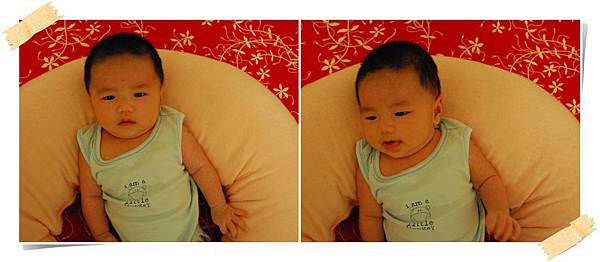 小兔2M-11