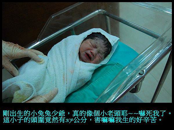 出生20分鐘 (2)