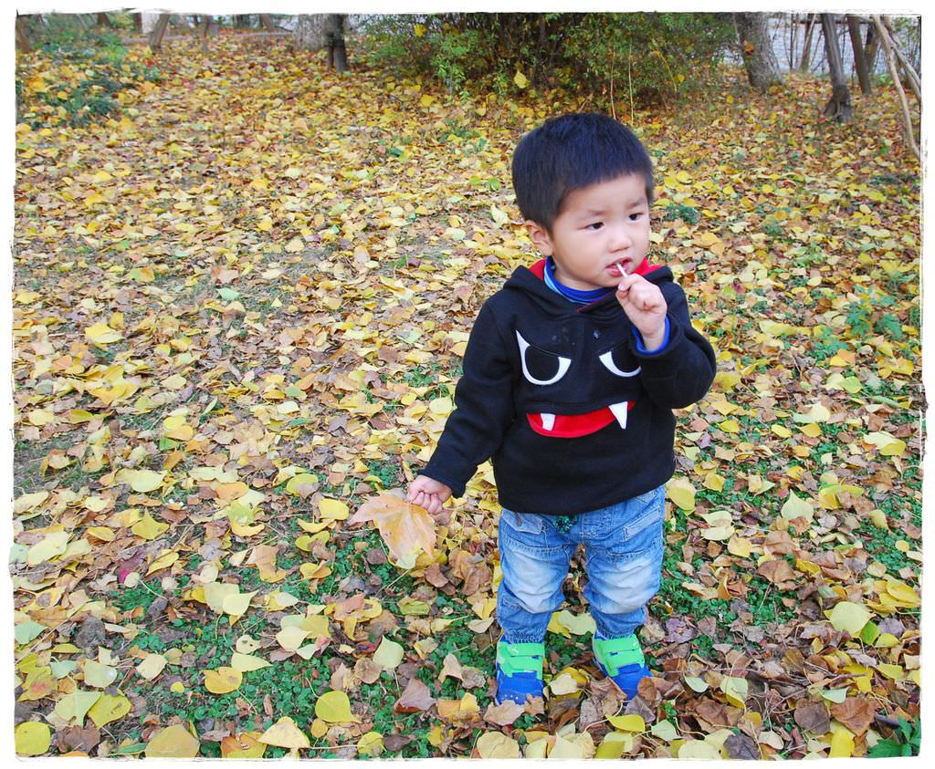 2Y1M-2
