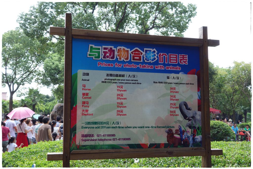 動物園-18