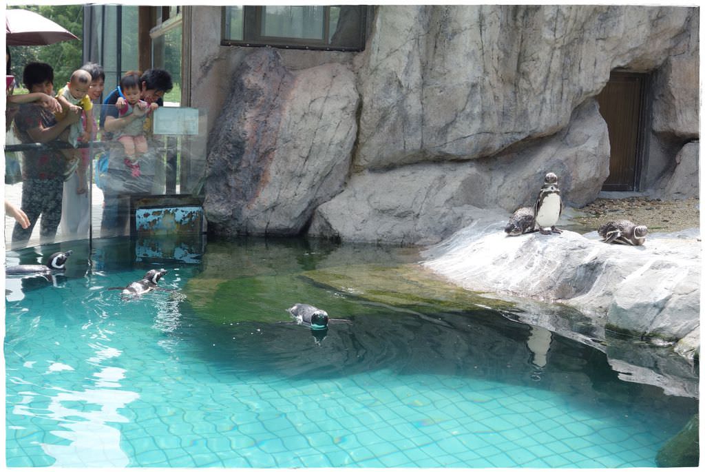 動物園-40