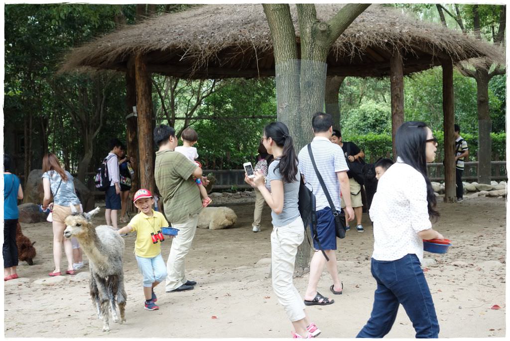 動物園-44
