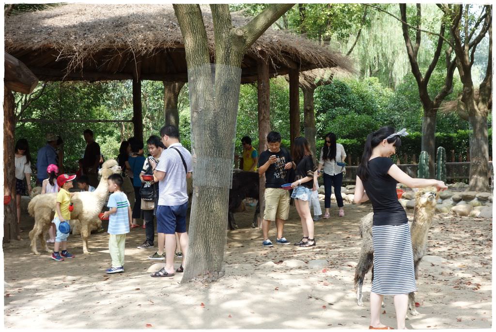 動物園-45