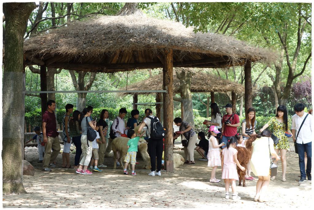 動物園-46