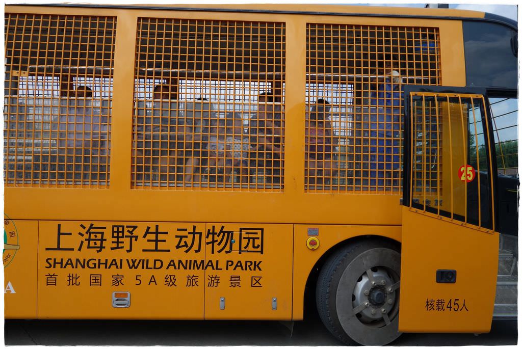 動物園-56
