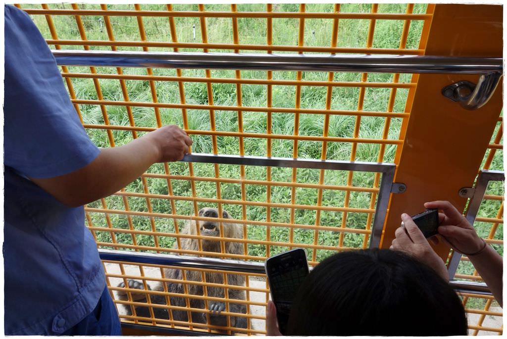 動物園-62