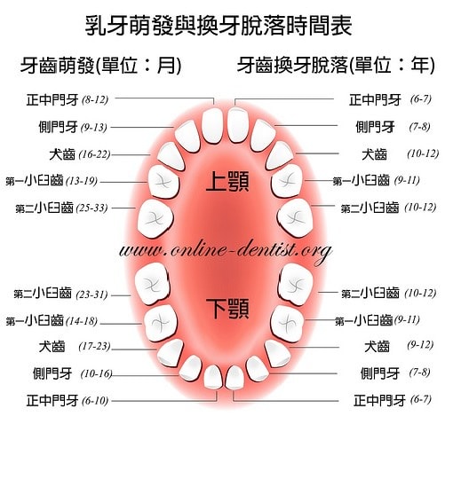 看牙-26