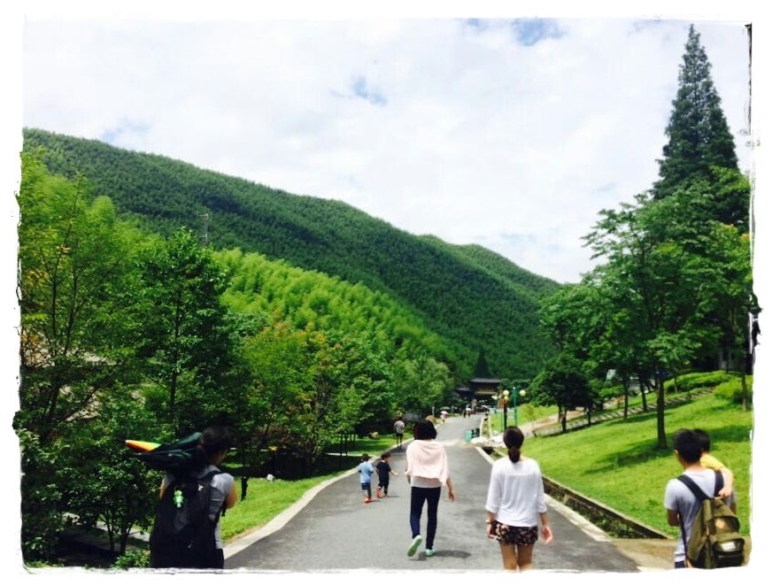 大竹海-22