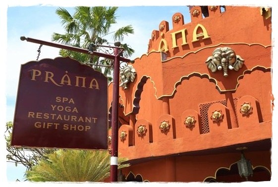 SPA-3