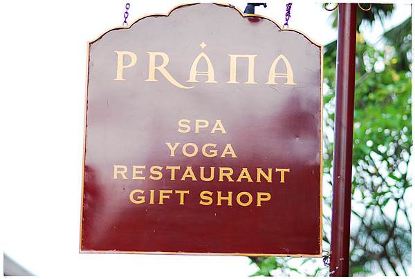 SPA-6